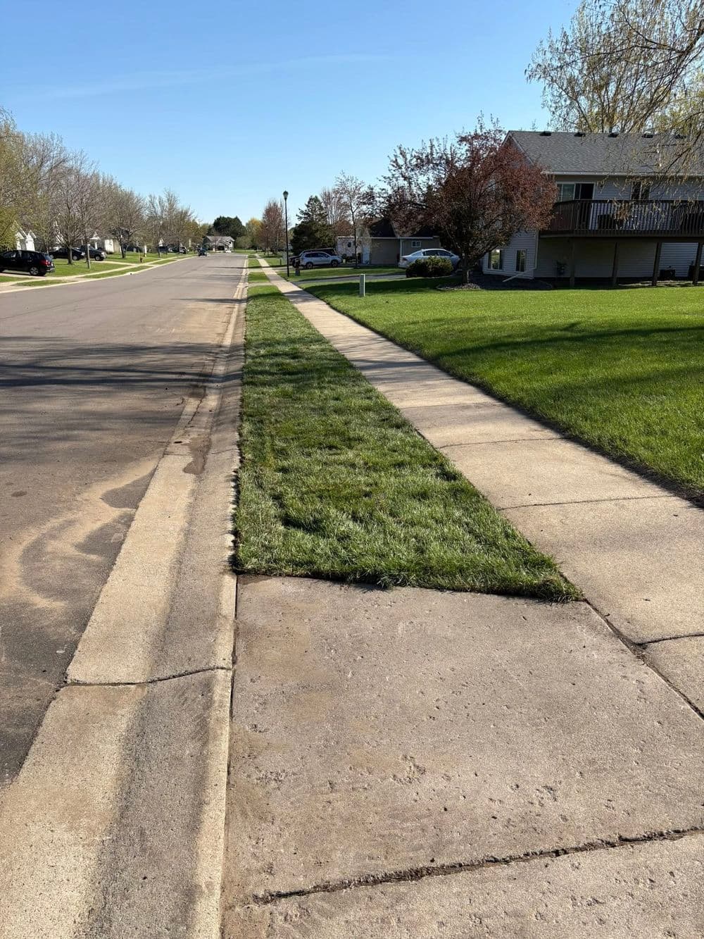 Residential street with a well-maintained sidewalk and freshly mowed grass along the curb.