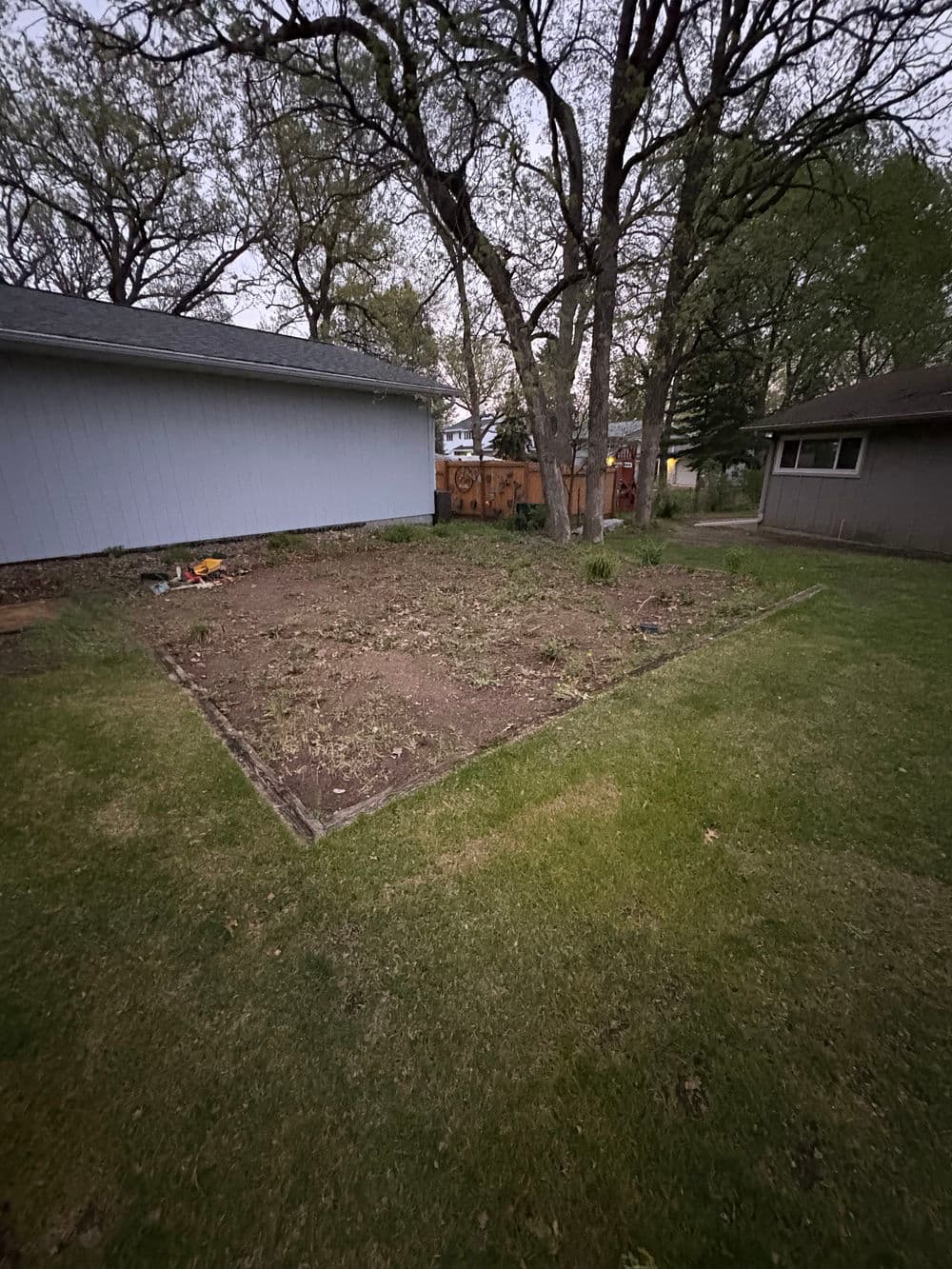 Dirt patch in backyard for gardening, surrounded by trees and two houses in evening light.